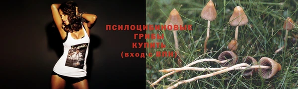 мяу мяу кристалл Дмитровск