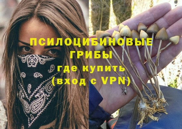 MDMA Premium VHQ Дмитров