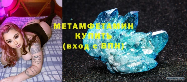 мдпв Ельня