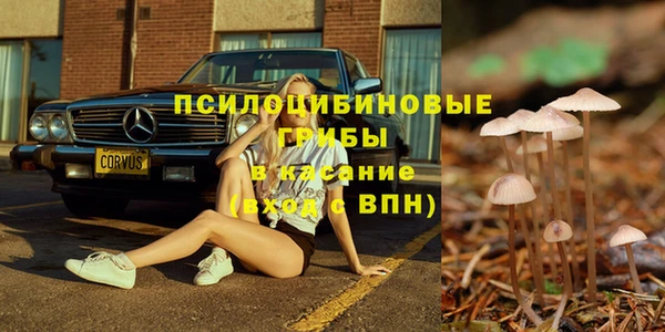 прущая мука Дмитриев